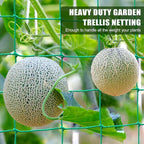 Garden Trellis Netting - Heavy Duty Trellis Net for Climbing Plants, 26.3x6.6Ft Plant Netting for Cucumber, Tomato, 27 Strands Nylon & 4x4 IN Mesh, Grow Netting for Fruits, Vegetables, Grape, Bean,Pea