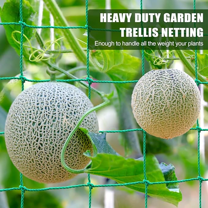 Garden Trellis Netting - Heavy Duty Trellis Net for Climbing Plants, 26.3x6.6Ft Plant Netting for Cucumber, Tomato, 27 Strands Nylon & 4x4 IN Mesh, Grow Netting for Fruits, Vegetables, Grape, Bean,Pea