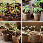 homenote Peat Pots, 60 Pcs 3.15 Inch Seed Starting Pots with Drainage Holes, Round Nursery Plant Pots with Bonus 20 Plant Labels