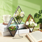 Yaomiao 3 Pcs Stained Glass Hanging Plant Terrariums Hanging Glass Planter Small Geometric Terrarium Air Plant Terrarium with Chain for Succulent Moss Holders Garden Wall Windowsill (Vivid Color)