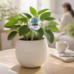 Extra-Thick Clear Glass Plant Watering Globes, Rainbow Gradient Self Watering Globes, Automatic Plant Waterer, Self Watering Planter Insert Spikes Devices for Everyday or Vacation Use, 2-Pack