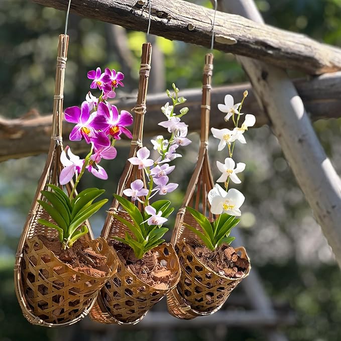 Handmade 100% Thai Bamboo Hanging Orchid Basket – 4 Inch Set of 3