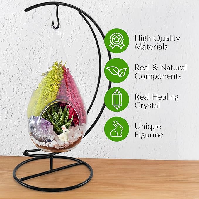 Teardrop Terrarium Kit with Stand, Moss & Pebbles