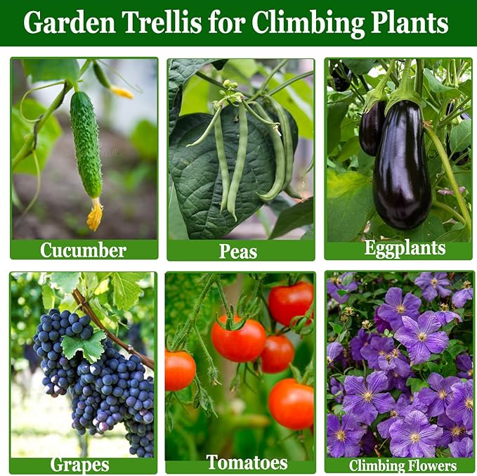 Cucumber Trellis Garden Trellis Arch Trellis, Tall Trellis for Climbing Plants Support Vegetable Peas Fruit Vine Outdoor A-Frame Trellis Suit for Small Plant not Heavy