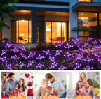 Solar Garden Lights 2 Pack Waterproof Solar Swaying Starburst Light Outdoor Lights for Yard Patio Walkway Pathway Party Wedding Christmas Decoration, Purple