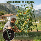 Miory Cucumber Trellis for Raised Beds, 2 Pack 32x48" A-Frame Garden Trellis, Climbing Plant Support with Netting for Cucumber Tomato Bean Pea