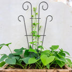 4 Pack 43'' Indoor Plant Trellis for Potted Plants Climbing, Outdoor Metal Garden Trellis Houseplants Flowers Vine Ivy, Wave Shape, Black