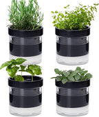 Phoenix Vine 4 Inch Self Watering Planter Pot, Black Terracotta Clay Pot with Glass Reservoir for Indoor Plants, Herbs, Flowers, Set of 4, 52-C-E-4
