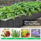 VIVOSUN 3-Tier Metal Raised Garden Bed, 46" x 46" x 24" Galvanized Steel Metal Outdoor Planter Box with Gloves and Scissors to Grow Flowers, Vegetables and Herbs for Outdoor Gardening, Dark Gray