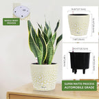 Dexceder 11x10 Inches Self Watering Planter Indoor Outdoor, Inner Pot Design, Thickened Table Flower Plant Pot with Water Level Indicator (White Gold Crackle)
