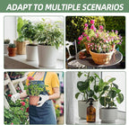 17.5 Inch Indoor Plant Trellis for Climbing Plants,Metal Trellis,Small Garden Trellis for Potted Plants,Plant Stakes for Indoor Plants Accessories Hoya,Flower,Plant Support (Golden-Metal)