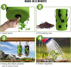 2 Pack Black and Green Upside Down Tomato & Herb Planter, Hanging Durable Aeration Fabric Strawberry Planter Bags