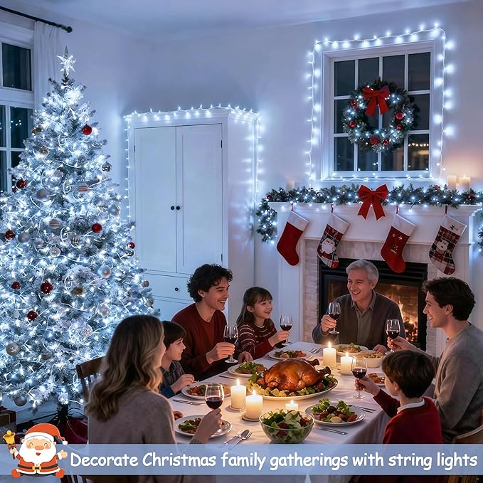 String Lights 168 FT 600 Cool White LED with Remote