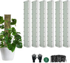60"/40"/24" Metal Moss Pole, D Shape Sphagnum Moss Pole, Moss Poles for Climbing Plants, Monstera, Indoor Climbing Plants (4Pcs 24")
