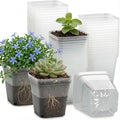 60 Pcs Clear Square Nursery Pots 4 Inch, Reusable Seedling Pots with Drainage Holes, Transparent Small Plant Potting Pot Containers for Seedlings Microgreens, Flowers, Indoor Gardening