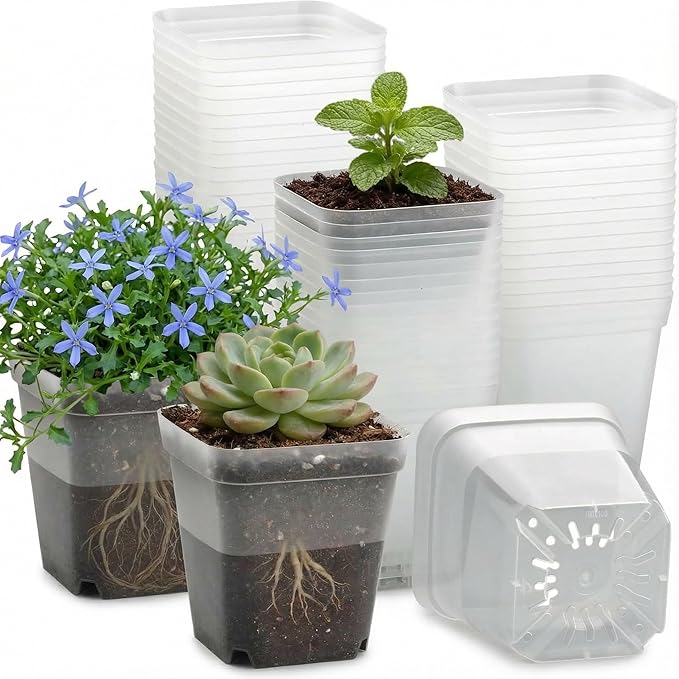 60 Pcs Clear Square Nursery Pots 4 Inch, Reusable Seedling Pots with Drainage Holes, Transparent Small Plant Potting Pot Containers for Seedlings Microgreens, Flowers, Indoor Gardening