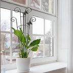 COOMIN 30'' Monstera Plant Support Outdoor, Metal Expandable Plant Supports for Indoor Plants, 4P Garden Trellis for Climbing Plants Indoor - Ivy, Pothos, Philodendron, Hoya