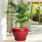 Ceramic Planter for Indoor Plants 8 Inch - Ceramic Plant Pot with Drainage Hole and Saucer, Glaze Round Decorative Modern Flower Pot, Housewarming Gift, Home Room Office Decor, Red