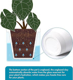 D'vine Dev 6 Inch Design Self Watering Planter for Indoor Plants, White Terracotta Pots with Cylinder Glass Cup, Set of 2, 37-Y-B-2