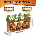 Terrarium Skull Propagation Station, 3 Amber Glass Vases with Wood Stand
