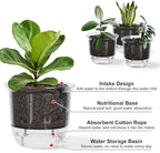 Self Watering Pots, 3 Pack 6.5/5/4 Inch Clear Plant Pot Self Watering Planter Flowers Pot with Deep Reservoir for Indoor Plants (3 Medium)