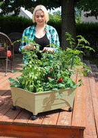 Emsco Group 2342-1HD City Picker Self Watering and Improved Aeration – Mobile Unit with Casters-Sand Raised Bed Grow Box
