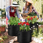 3 Pack 10 Gallon Grow Bags with Planting Holes, Planting Bags, Plant Grow Bags, Fabric Grow Bags, Heavy Duty Thickened Nonwoven Fabric Gardening Vegetable Growing Bags with 3/5/8 Planting Holes