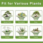 Ceramic Bonsai Pots - Large Succulent Planter 13 Inch Plant Pot Indoor Succulent Pot with Drainage Hole Outdoor Planter Bonsai Tree Pot for House Home Garden Office Decor Green