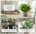 Fake Plants,5 Pack Small Fake Plants Mini Potted Artificial Eucalyptus Greenery Plastic Green Grass Plants for Indoor Outdoor,Mini Faux Plant for Shelve Desk Table Farmhouse Bathroom Shelf Decor
