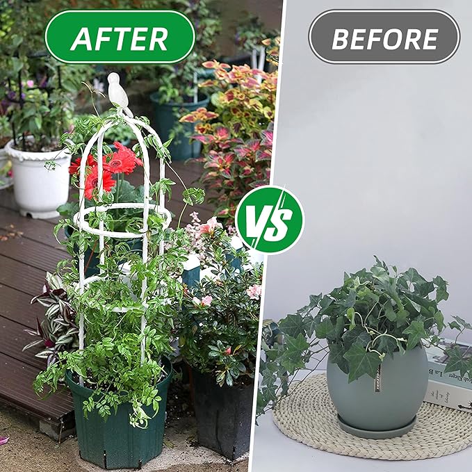 Garden Trellis for Climbing Plants, Rustproof Metal Pipe with Heavy Duty 6ft, Garden Outdoor Indoor Potted Plant Support（White）