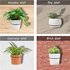 6 Pack 8 inch Flower Pot Holder Ring, Flower Pot Holder Ring Wall Mounted Set Wall Mounted Metal Planter Hanger Matte Black Hanging Plant Holder