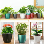 Self-Watering Pots for Indoor Plants, 8-Pack Self Watering Planter with Drainage Holes, Small African Violet Pots with Water Indicator, 5 Packs 5''/3 Pack 6.7'' Orchid Pot, White