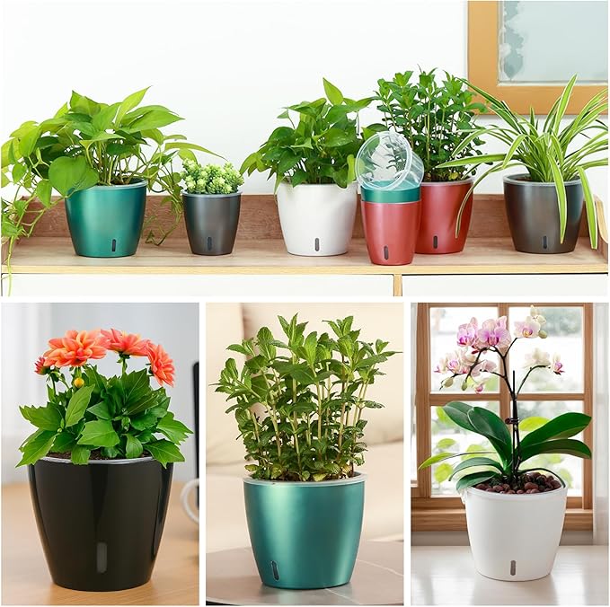Self Watering Pots for Indoor Plants, 12-Pack 5'' Self Watering Planter with Drainage Holes, Small African Violet Pots with Water Level Indicator, Clear Wick Pot, Black