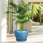 Ceramic Planter - 8 Inch Plant Pot with Drainage Hole and Saucer, Glaze Round Flower Pot for Home Garden Patio Office, Blue