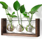 Terrarium Wall Hanging Propagation Station, 3 Glass Vases, Brown Wood Frame