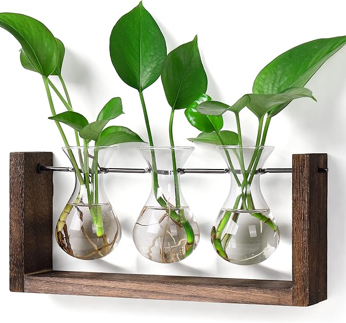 Terrarium Wall Hanging Propagation Station, 3 Glass Vases, Brown Wood Frame