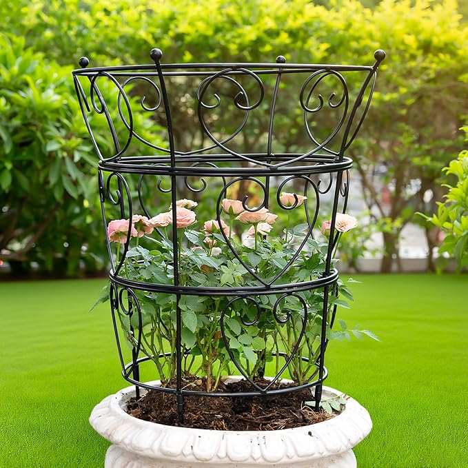Obelisk Trellis for Peonies, Black Metal Heart Cage, 24.6 x 17 Inch