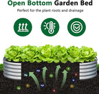 zizin 2 Pack Oval Galvanized Raised Garden Bed Kit 8x4x1ft Large Metal Planter Box for Outdoor Vegetables, Silver