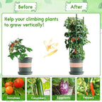 Riare 4 Pack 5.2 FT Tomato Cages for Garden- 63inches Heavy Duty Tomato Stakes and Supports, Adjustable Tall Tomato Plant Support Trellis for Pots, Raised Garden Bed, Climbing Vegetables Plants