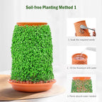Plant Pots 5.7 Inch Self Watering Planters,Terracotta Pots with Drainage and Saucer,Hydroponic Clay Plant Pots Suitable for Indoor Plants,Orchid,African Violet,Flowers