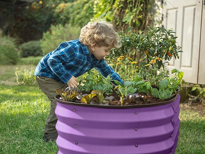 Plant & Plot Galvanized Raised Garden Beds Outdoor // 4×2×1 ft (2-Pack) Planter Raised Beds for Gardening, Vegetables, Flowers (Purple) // Large Metal Garden Box