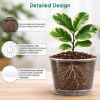 8 Packs 8 Inch Reinforced Large Clear Nursery Pots with Sacuers, Transparent Plastic Plant Pot Seedling Planter with Drainage Holes for Vegetable Propagation, Root Cutting, Seed Starting