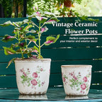 Vintage Ceramic Planter with Drainage Hole, Plastic Tray & Mesh, 5.5 Inch - Indoor/Outdoor Flower Pot, Pink Floral Rustic Farmhouse Design Plant pot for Home, Office & Garden Décor, Ideal Gift