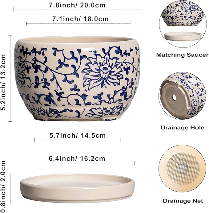 SQOWL Ceramic Planters for Indoor Plants - 8 inch Plant Pot with Drainage Hole and Saucer, Decorative Flower Pot Outdoor, Porcelain Round Planter, Living Room Decor, Gardening Gifts, Blue and Beige