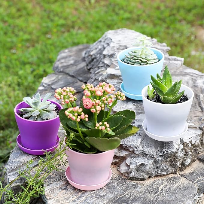 TDHDIKE 10 Pcs Plastic Planters Indoor Flower Plant Pots, Mini Flower Seedlings Nursery Pot/Planter/Flower Pot with Pallet, Modern Decorative Gardening Containers (Pink)