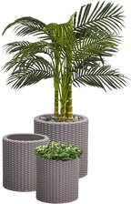 Keter Cylinder Set of 3 Rattan Resin Planter for Indoor and Outdoor Plants Ideal Decorative Planter for Porches and Patio Decor, Taupe