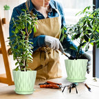 6 Pack 6 Inch Indoor Plant Pots with Drainage Holes, Outdoor Plastic Decorative Flower Pots, Garden Planters with Tray Saucers for Orchids, Violets, Succulents, Herbs, and Other Plants