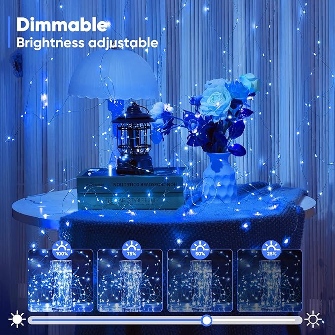 Indoor String Lights, 2 Pack 16.4 Ft Blue Battery LED with Remote