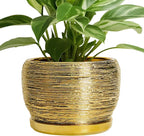 SQOWL Ceramic Flower Pot - 8 Inch Plant Pot Indoor Outdoor, Round Planter with Drainage Hole and Saucer, Decorative Modern Planter, Home Decor, Plant Lovers Gifts, Gold