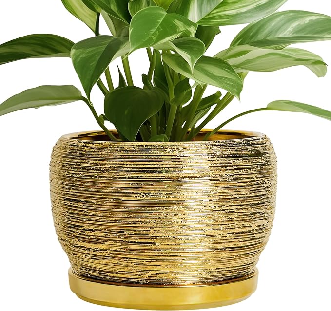 SQOWL Ceramic Flower Pot - 8 Inch Plant Pot Indoor Outdoor, Round Planter with Drainage Hole and Saucer, Decorative Modern Planter, Home Decor, Plant Lovers Gifts, Gold